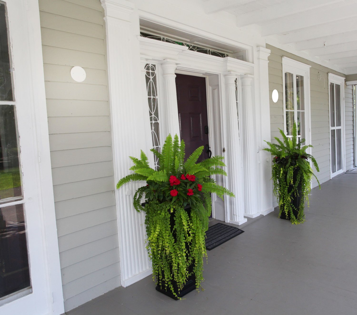 These pots flanking a front door are classic examples of Thriller, Filler, Spiller planting techniques.